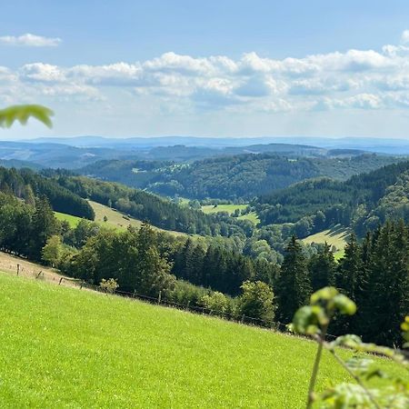 Ferienwohnung Up Willingen-Schwalefeld ヴィリンゲン エクステリア 写真