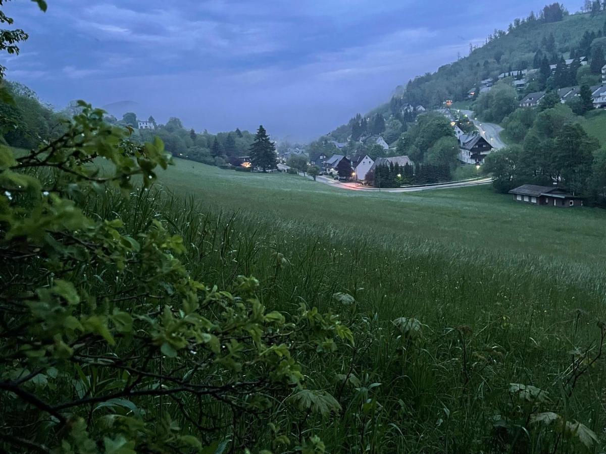 Ferienwohnung Up Willingen-Schwalefeld ヴィリンゲン エクステリア 写真