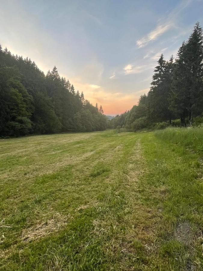 Ferienwohnung Up Willingen-Schwalefeld ヴィリンゲン エクステリア 写真