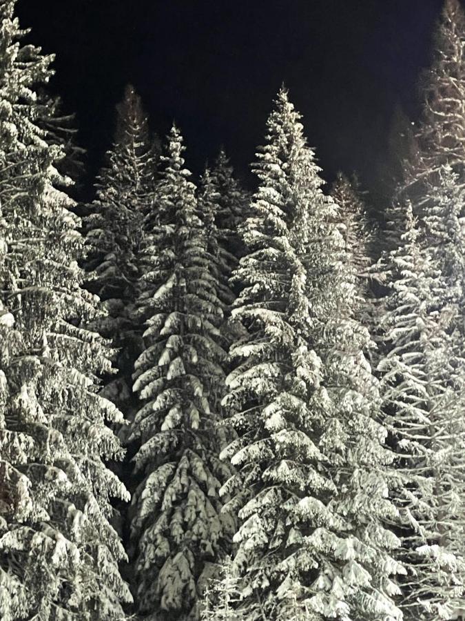 Ferienwohnung Up Willingen-Schwalefeld ヴィリンゲン エクステリア 写真
